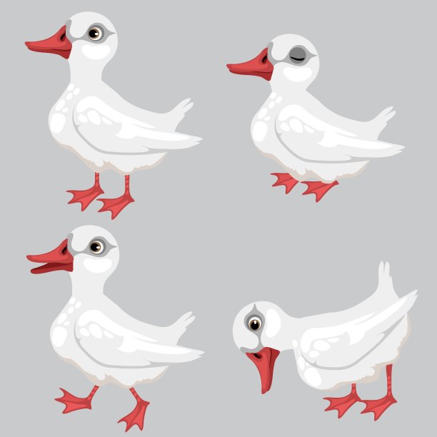 卡通白鸭子四姿势动物图片下载