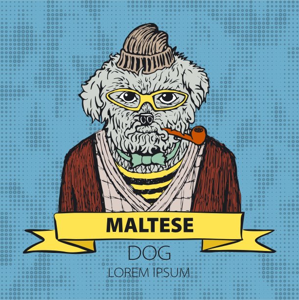 一只戴着绿色耳机的马耳他狗的肖像图片下载