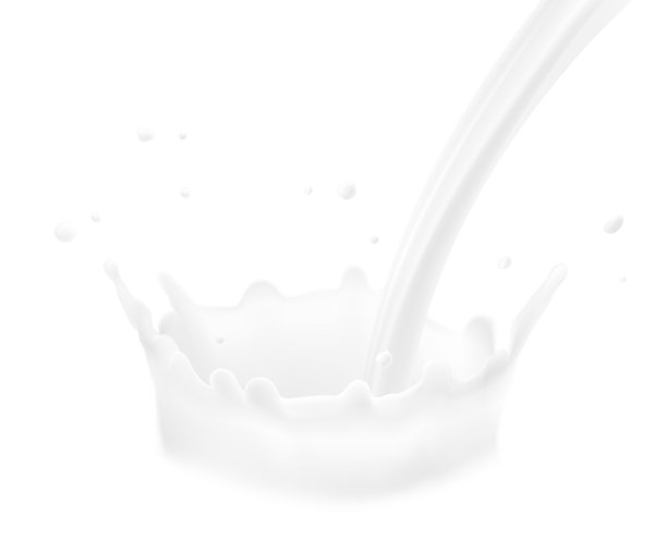逼真的牛奶飞溅和掉落。图片下载