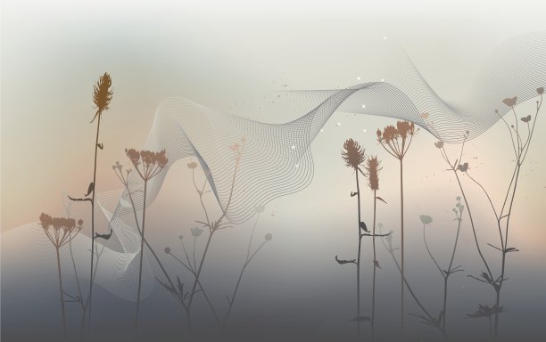 草地杂草和蒲公英的剪影图片下载