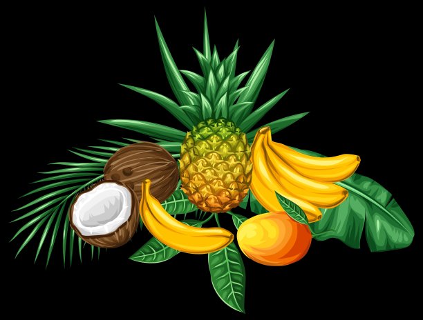 背景与热带水果和树叶设计图片下载