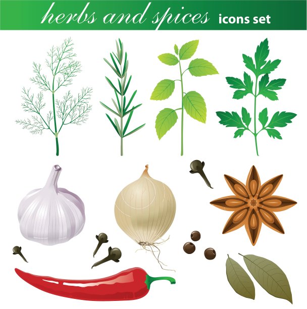 高度详细的香草和香料图标集图片下载
