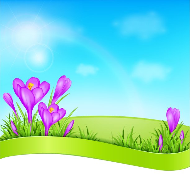 春天的背景与紫罗兰番红花图片下载