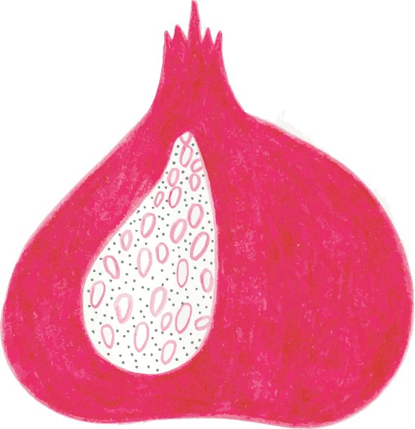 手绘石榴图片下载