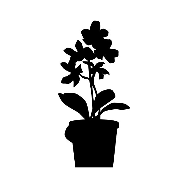 盆栽植物剪影图片下载