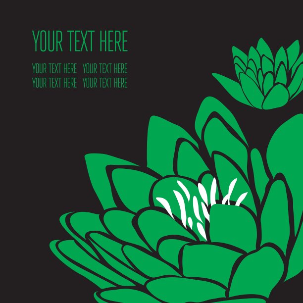 背面黑色2 01图片下载