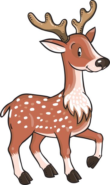 有趣的小鹿或小鹿图片下载