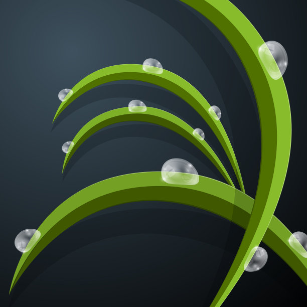 摘要绿草叶与水背景图片下载