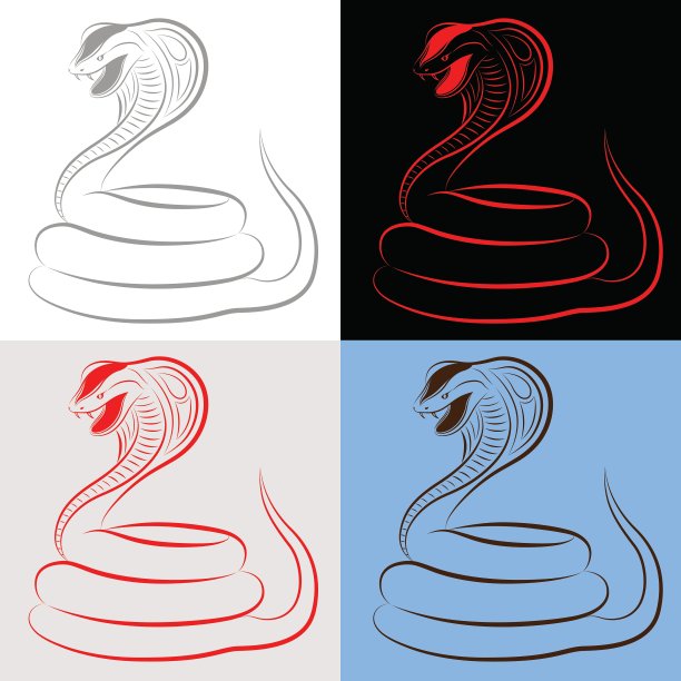 蛇蛇组图片下载