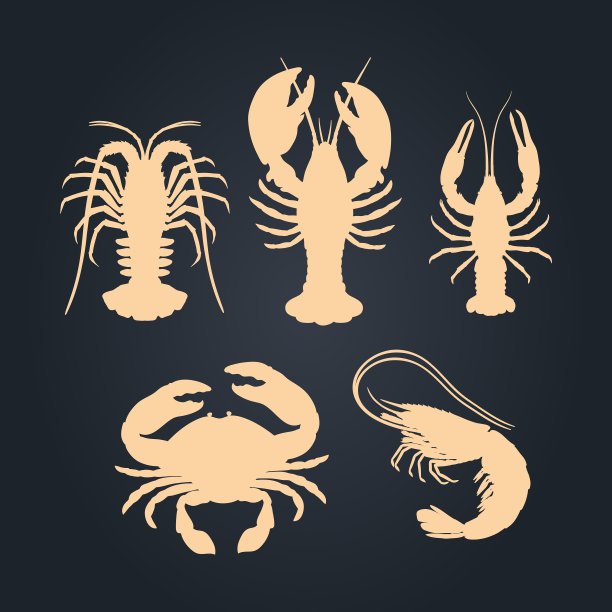 集海鲜甲壳类剪影图片下载