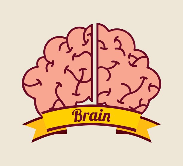 大脑的设计图片下载