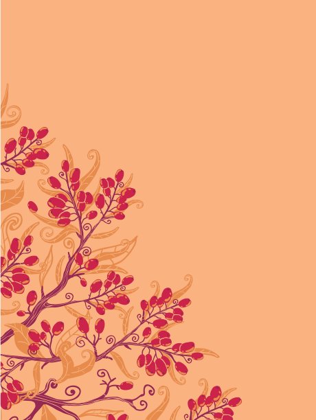 秋鼠李浆果的角落背景图片下载