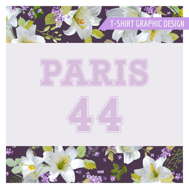 花破旧别致的图形设计-为t恤图片下载