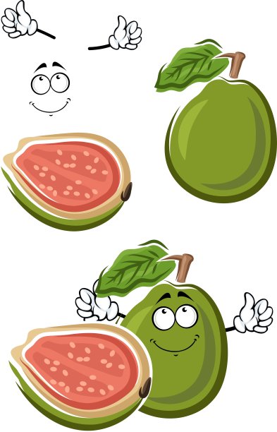 成熟的卡通绿色番石榴果图片下载