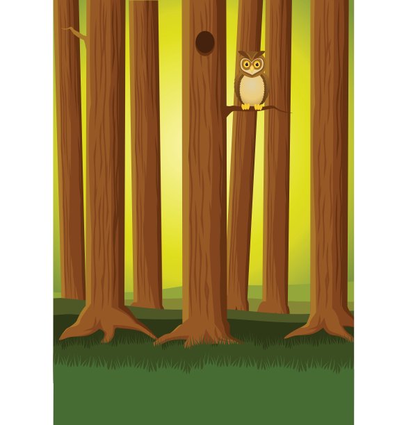 森林中的猫头鹰图片下载