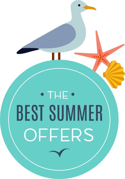 海鸥的标志上最好的夏季报价图片下载