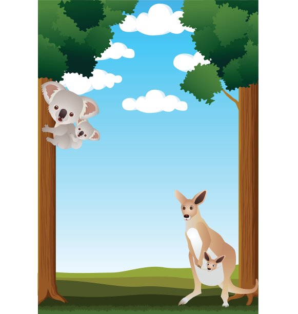 动物austratlia图片下载