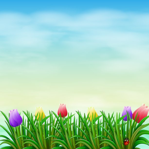 有明亮天空的自然景色图片下载