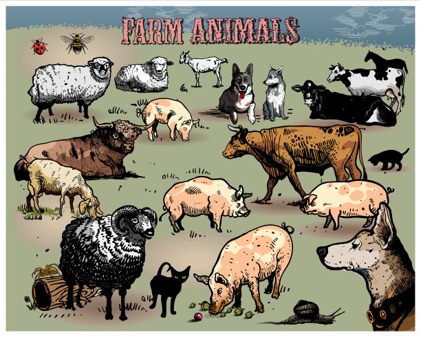 农场动物图片下载