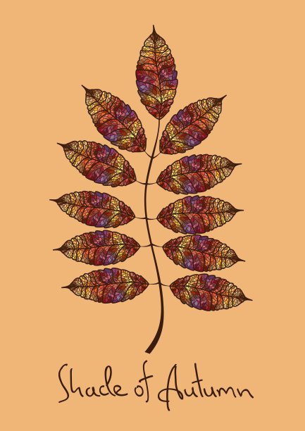 秋花叶镶嵌而成图片下载