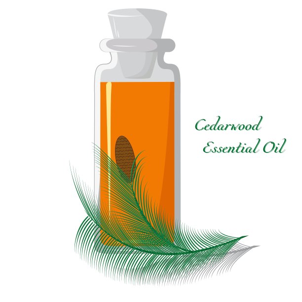 雪松精油图片下载