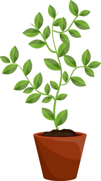 植物与叶片生长图形图片下载