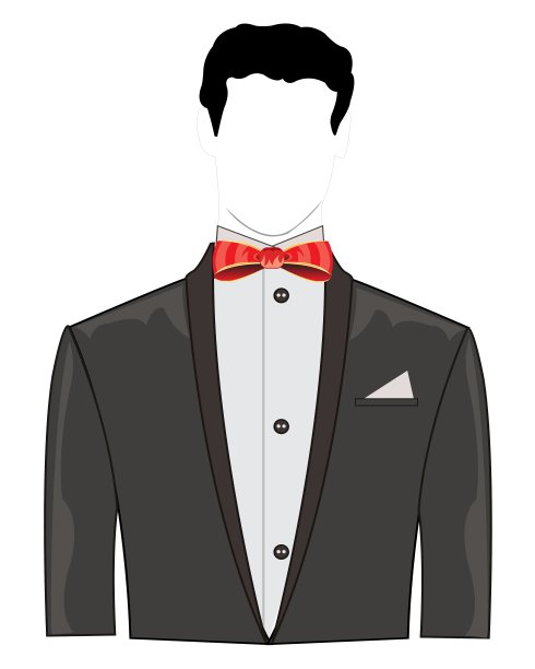 带蝴蝶结的节日套装图片下载