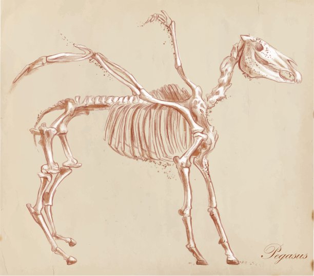 手绘的帕伽索斯图片下载