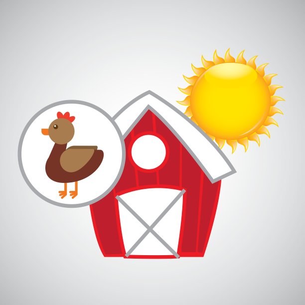 农场农村动物鸡设计图片下载