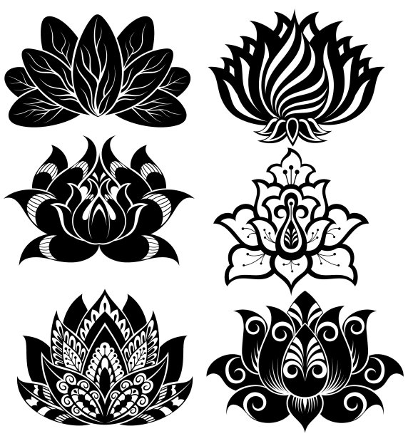 一套装饰荷花图片下载