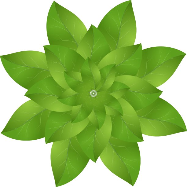 绿叶曼荼罗图片下载