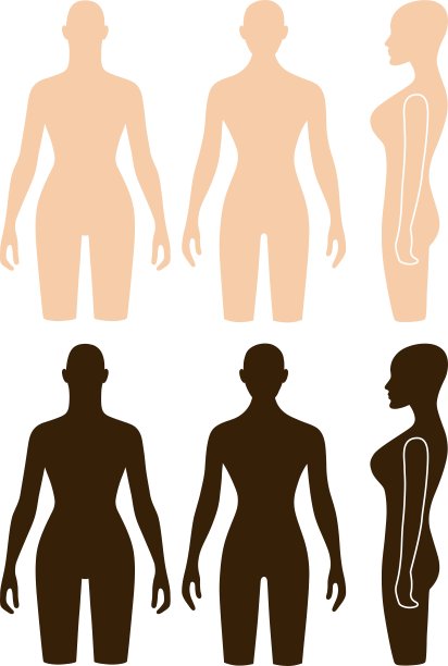 女人人体模型轮廓躯干图片下载
