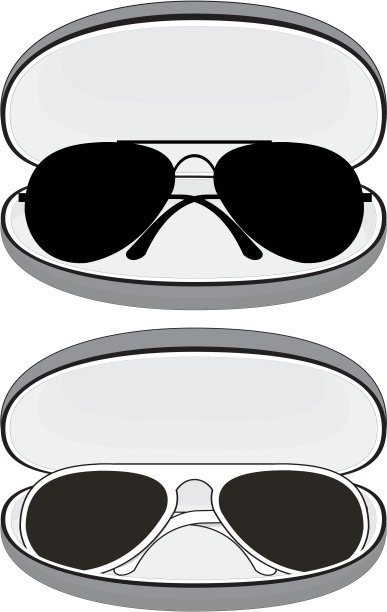 太阳镜的情况下图片下载