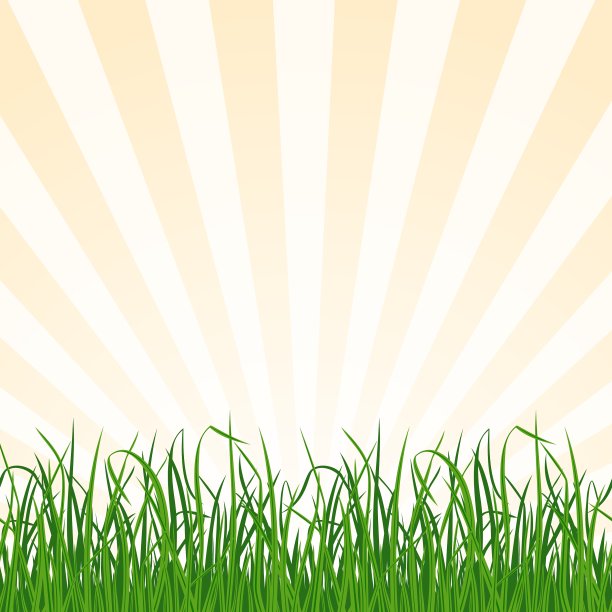 景观背景草和天空图片下载