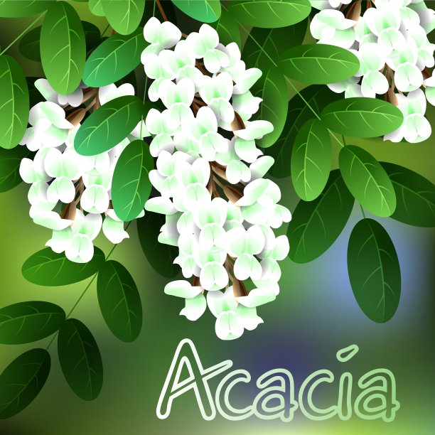 春暖花开，相思卡还是你的图片下载