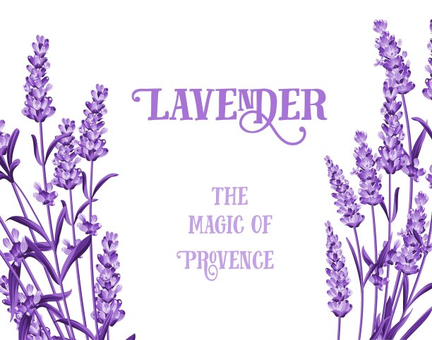 皮肤护理设计图片下载