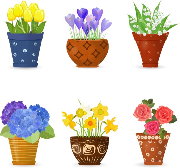 收藏可爱的花种植在艺术花卉图片下载