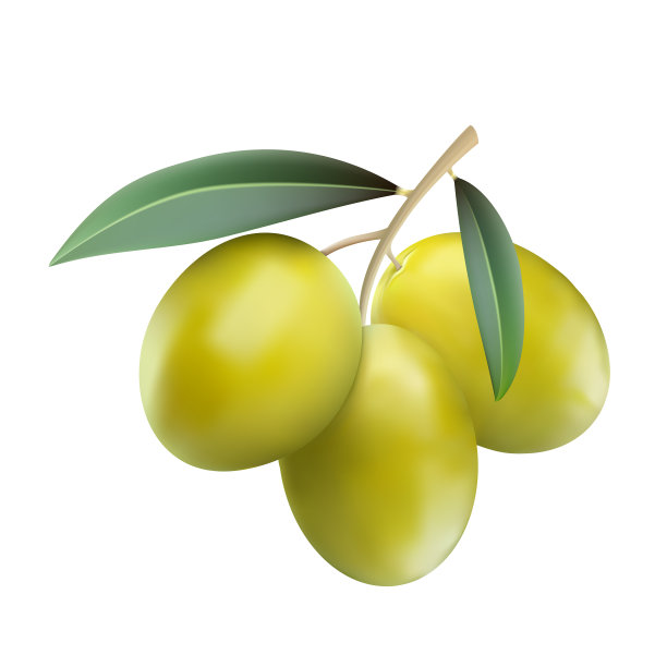 带叶子的绿橄榄图片下载