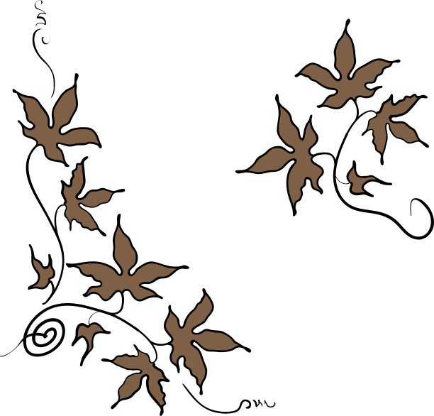 花卉装饰元素的叶子在手绘图片下载