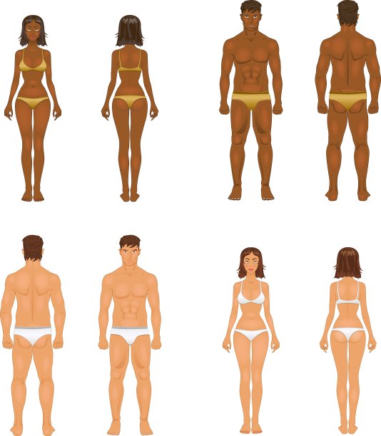 年轻的女人和穿着内衣的男人身体模板图片下载