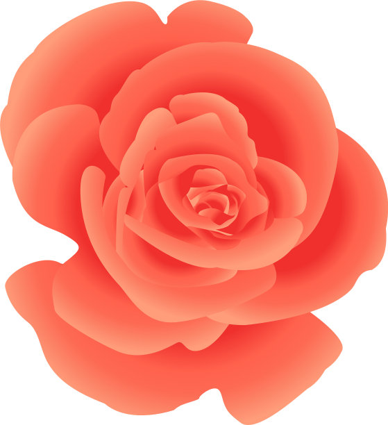 单花珊瑚玫瑰图片下载