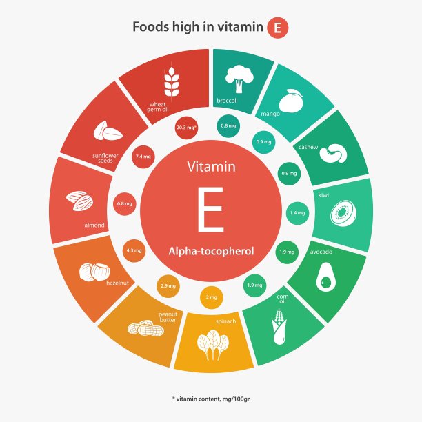 富含维生素E的食物图片下载