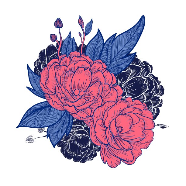 牡丹花束背景生日贺卡图片下载