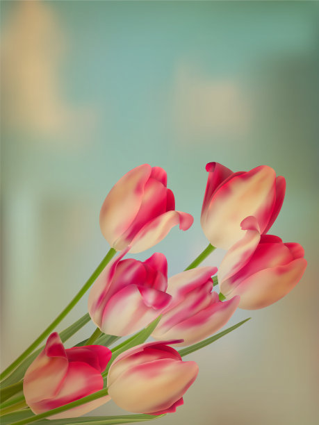 旧纸背景与郁金香EPS 10图片下载