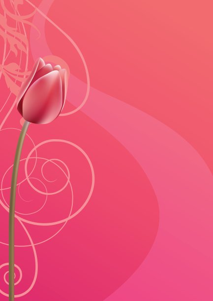 郁金香图片下载