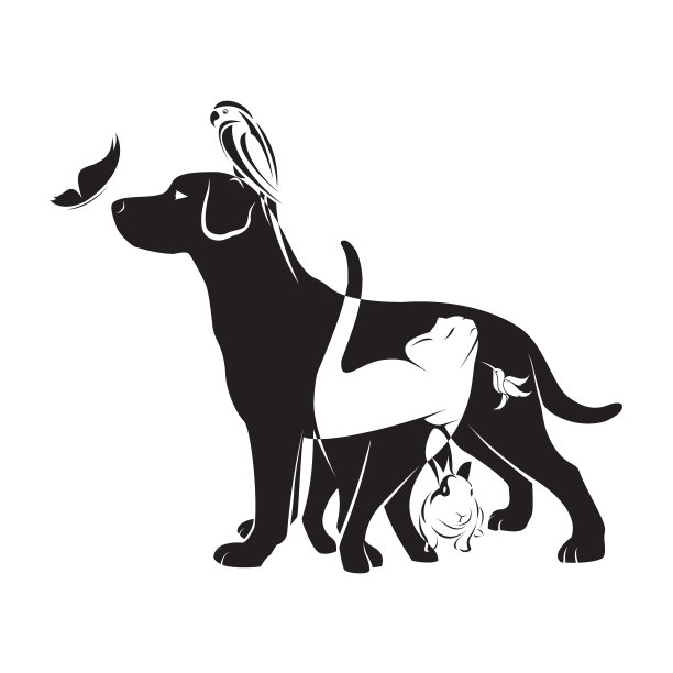 集团的宠物图片下载