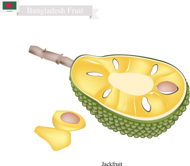 成熟的菠萝蜜在孟加拉国很受欢迎图片下载