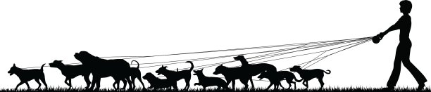 母狗沃克图片下载