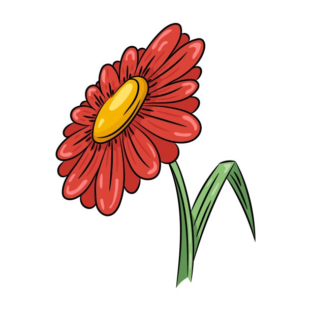 雏菊花图片下载