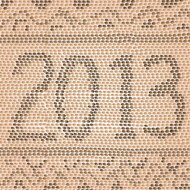 2013年蛇的皮肤图片下载